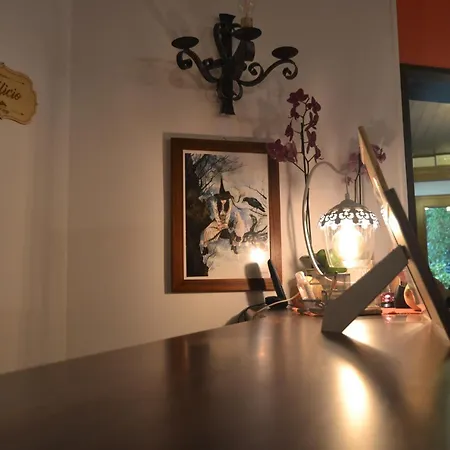 Apartment Residenza Valle Vigezzo *